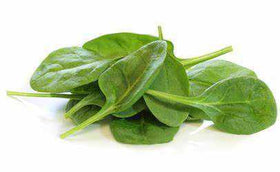 Baby Spinach Organic