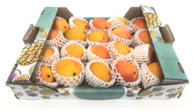 Baby Mangoes (Colombian Mangoes) Dubai - Online Shop For Colombian Mangoes In UAE