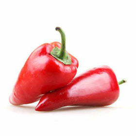 Red Jalapeno - Pack