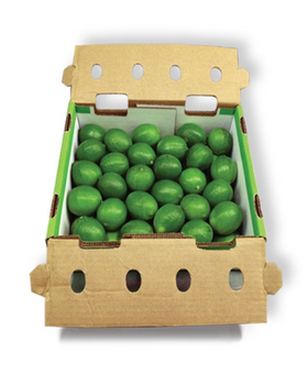 Lime Green Box