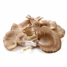 Oyster Mushroom - 200g