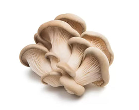 Oyster Mushroom - 200g