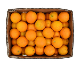 Orange Valencia Box