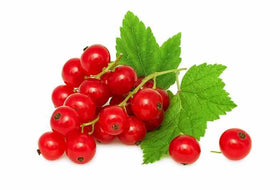 Red Currant - Pack