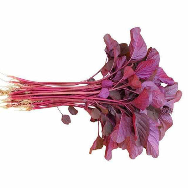 Red Spinach-Vegetables-UAE-1 Bunch-FruitsBox.ae