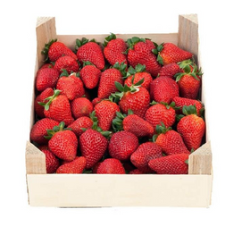 Strawberry 2.5Kg Box
