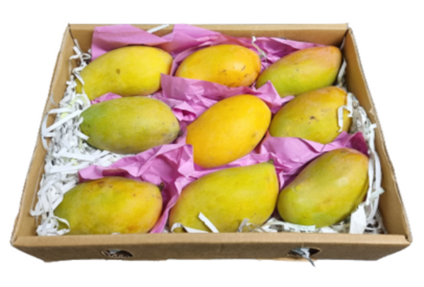 Mango Taymor Yemen @ Fruitsbox.ae