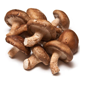 Shitake Mushroom - Pack