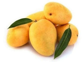 Alphonso Mango Dubai - Online Shop For Indian Mangoes In UAE