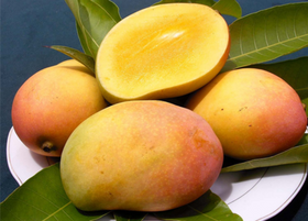 Rajapuri Mangoes Dubai - Online Shop For Indian Mangoes In UAE