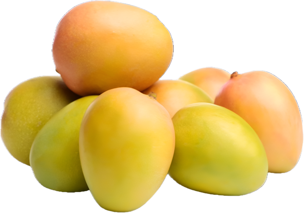 Buy Anwar Ratol Mango Premium Pakistani | FruitsBox UAE