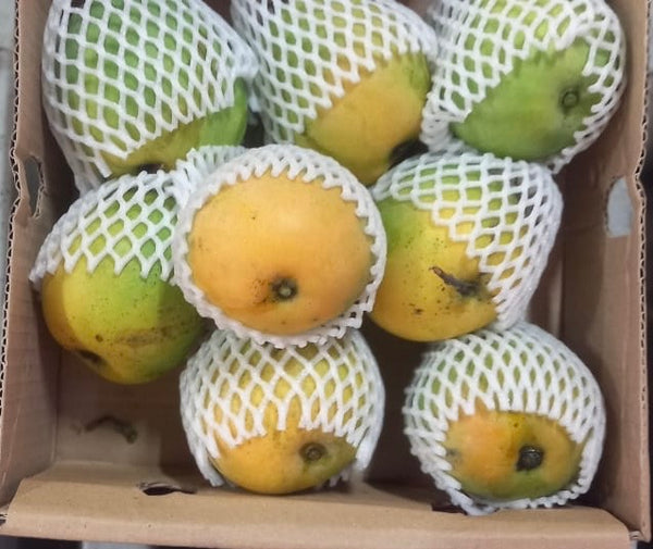 Alphonso Mangoes Box