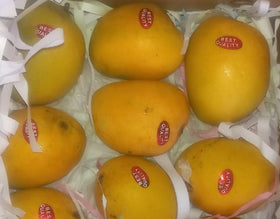 Alphonso Mango Dubai - Online Shop For Indian Mangoes In UAE
