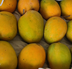 Jumbo Alphonso Mango Dubai - Online Shop For Indian Mangoes In UAE - Dubai, AbuDhabi, Ajman & Sharjah.