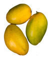 Imam Pasand Mango @ fruitsbox.ae