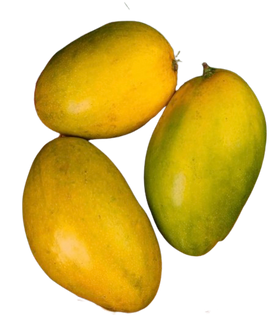 Buy Imam Pasand (Himapasnd) Mango Dubai - Online Shop For Indian Mangoes In UAE