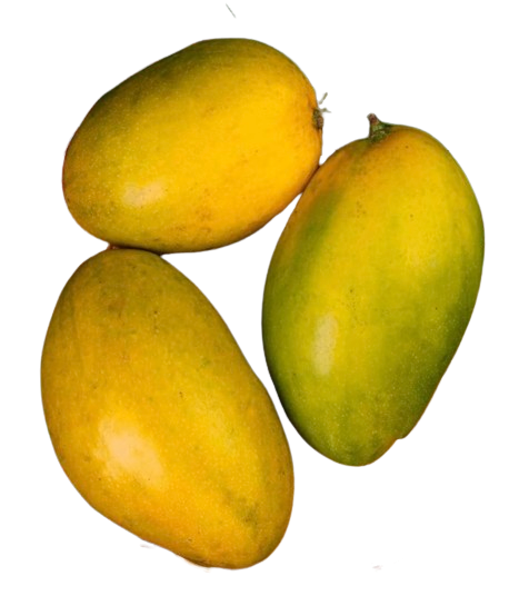 Imam Pasand Mango @ fruitsbox.ae