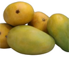 Imam Pasand Mangoes @ www.fruitsbox.ae