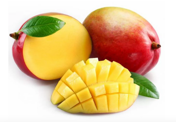 Palmer Mangoes Dubai - Online Store For Mangoes in Dubai- UAE