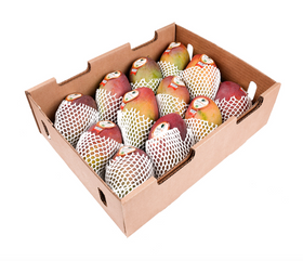 Palmer Mangoes Dubai - Online Store For Mangoes in Dubai- UAE