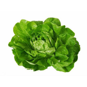 Boston Lettuce - 250g