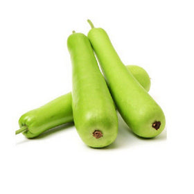 Bottle Gourd (Lauki/Dudhi) Premium 1 Kg