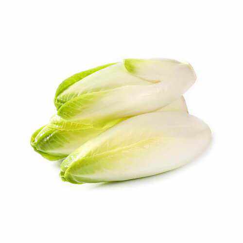 Shop Endives White Chicory in UAE (Dubai, Sharjah, Abu Dhabi, Ajman) - FruitsBox.ae