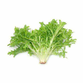 Lettuce Frisse Green - 200 g