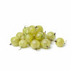 Shop Green Gooseberry (Amla) in UAE (Dubai, Sharjah, Abu Dhabi, Ajman) - FruitsBox.ae