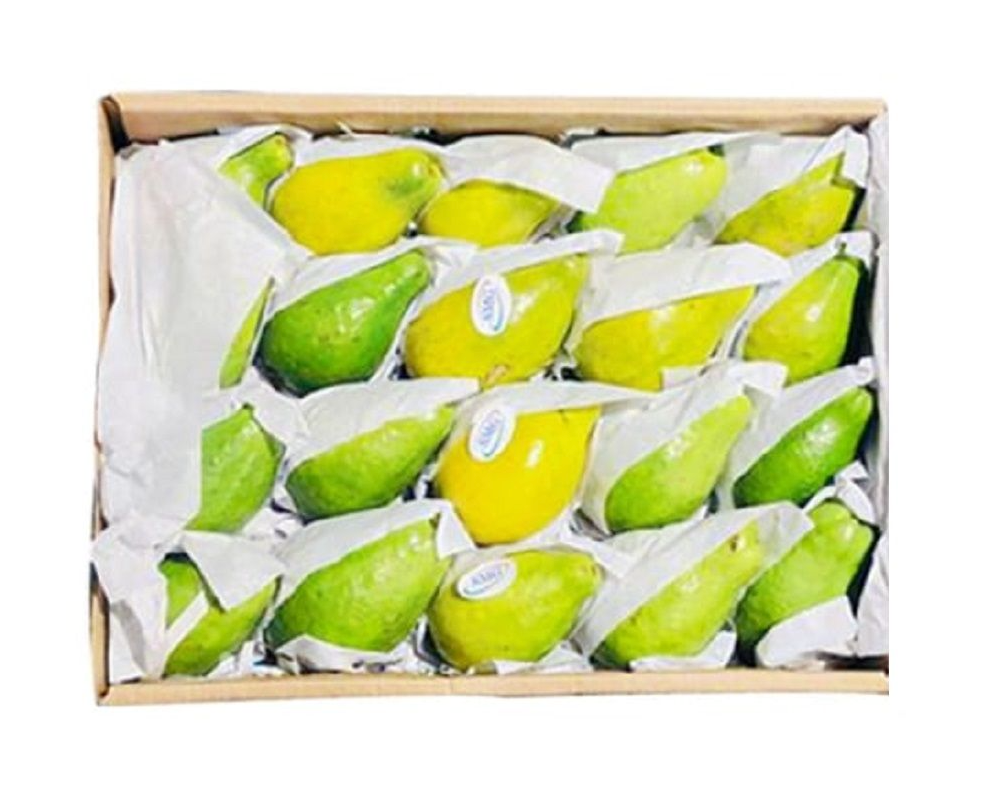 Guva Box Buy Guava Box in Dubai, Sharjah, Ajman, AZ - UAE | FruitsBox