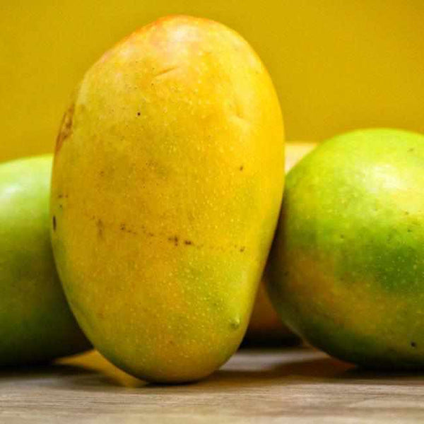 Shop Kesar Mangoes - 3 Kg in UAE (Dubai, Sharjah, Abu Dhabi, Ajman) - FruitsBox.ae