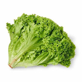 Lettuce Lollo Bionda - 250 gm