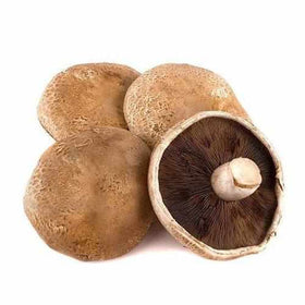 Portobello Mushroom - Pack