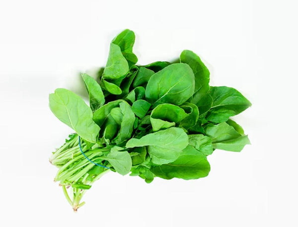 Shop Rocca in UAE (Dubai, Sharjah, Abu Dhabi, Ajman) - FruitsBox.ae