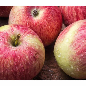 Royal Gala Apple - 500 gm