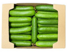 Cucumber Box