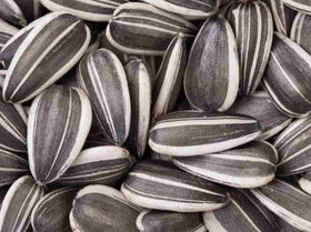 Sunflower Seeds Salted 300 gm