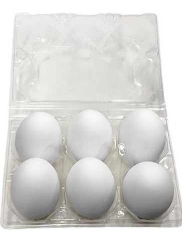 Shop White Eggs in UAE (Dubai, Sharjah, Abu Dhabi, Ajman) - FruitsBox.ae