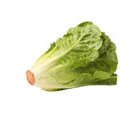 Lettuce Romaine Box